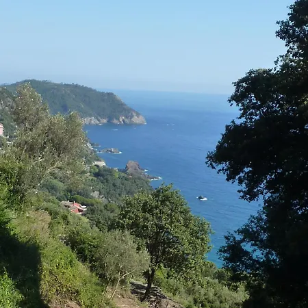 Silvia Hotel Framura