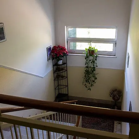 Hotel Silvia - Cinque Terre