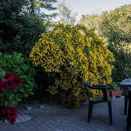 Silvia - Cinque Terre Hotel 2*